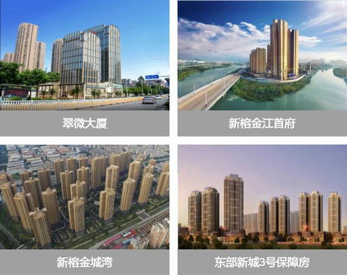 3.15萬(wàn) 平 福州二環(huán)內(nèi) 國(guó)企造 新盤72套住宅拿證