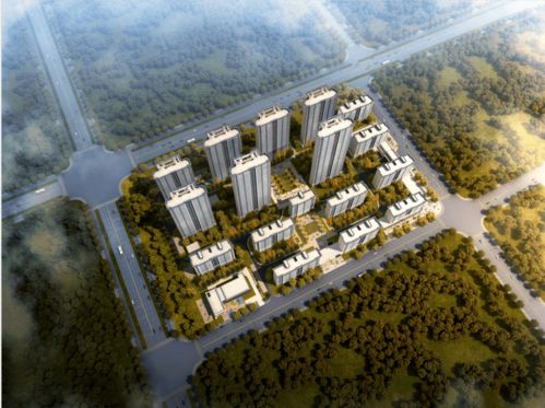 國安建設集團榮獲中梁地產集團合作總包單位優秀供應商稱號